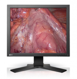 Video Endoscopic Manipulation Monitor SCD 19102 C Eizo
