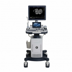 Ultrasound machine LOGIQ F8 (GE Healthcare (USA)