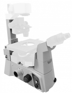 Direct microscope Eclipse Si-L Nikon (Japan)