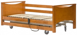 Functional Electric Bed Armed FS3236WM
