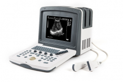 Digital Veterinary Ultrasound Scanner VT880f (AcuVista)