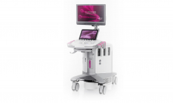 Ultrasound diagnostic system ACUSON S1000 (SIEMENS)