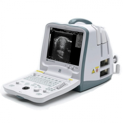 Veterinary Digital Ultrasound Diagnostic System DP-6600Vet Mindray
